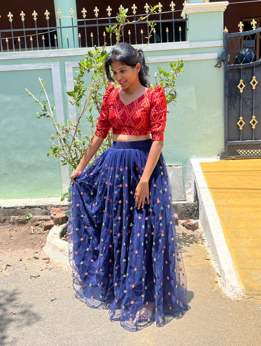 Festive dress : net skirt , Banarasi crop top - XS S M L
