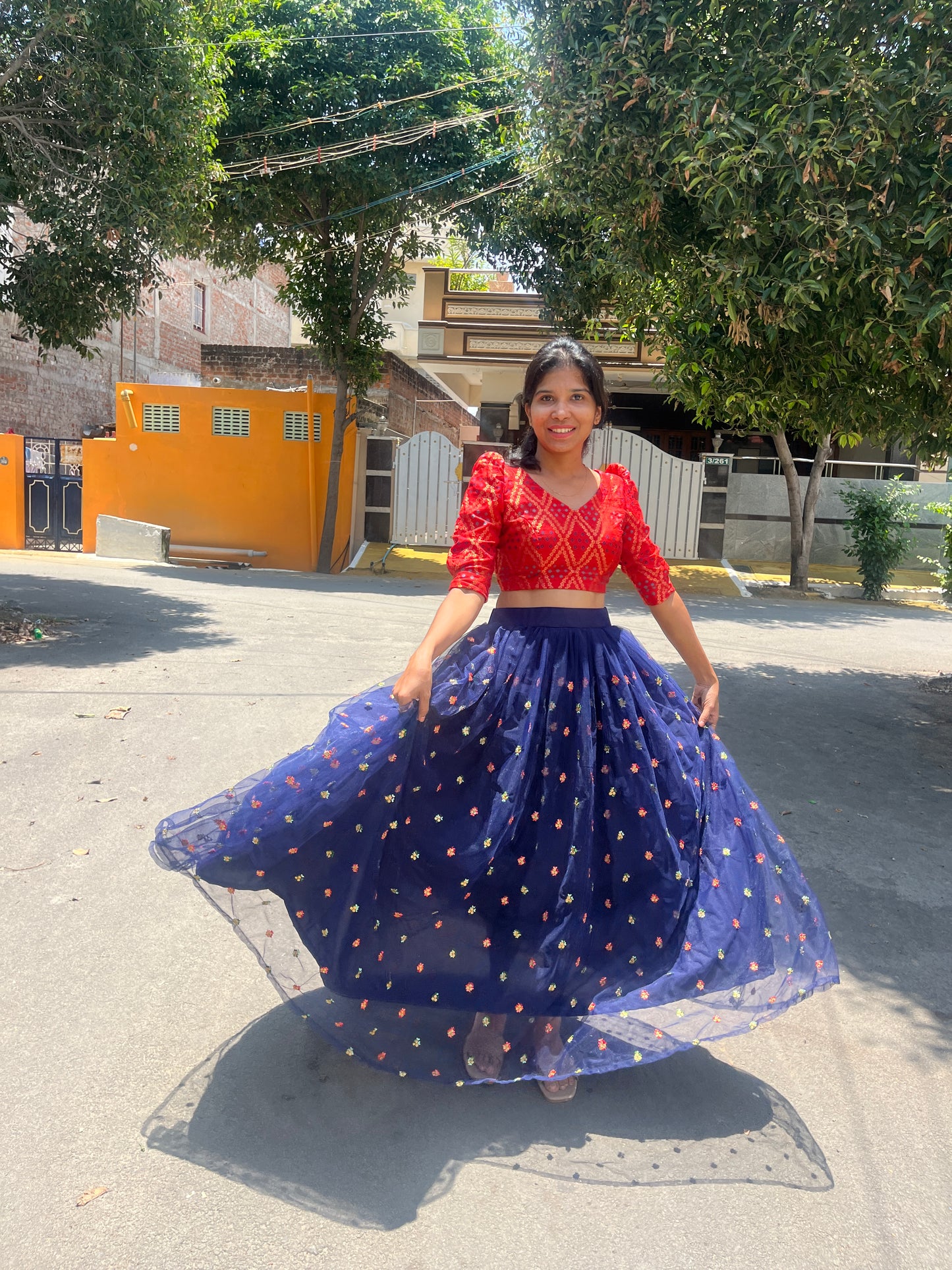 Festive dress : net skirt , Banarasi crop top - XS S M L