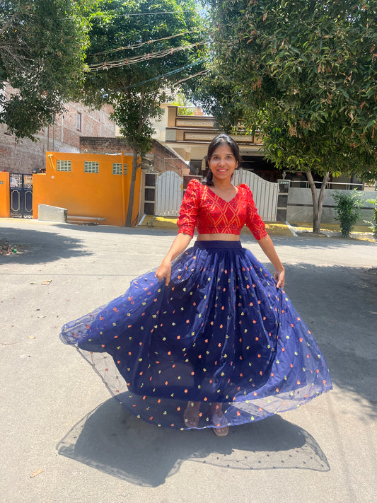 Festive dress : net skirt , Banarasi crop top - XS S M L